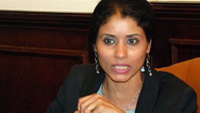 مها أبوبكر عن قانون المحاماة: 