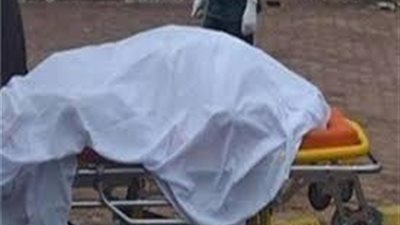 مصرع 3 أشخاص في حادث سير بالمنيا 