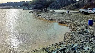شاهد.. أمطار الخير تسعد أهالي مدينتي حلايب وشلاتين.. والأهالي تساهم في ظهور المراعي الخضراء (صور) 