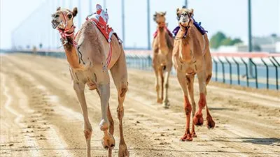 الفائزة أسرع 