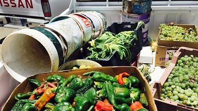 ضبط ٢٧ طن فاكهة وخضروات فاسدة داخل ثلاجة بالعاشر من رمضان