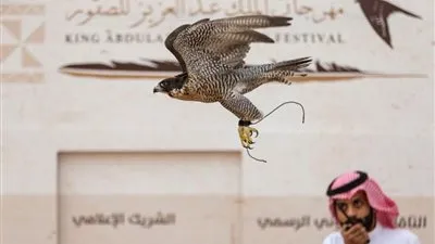 نادي الصقور يحدد موعد إقامة مهرجان الملك عبدالعزيز