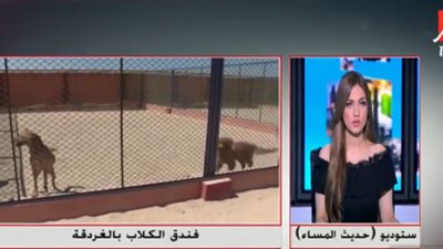 الطب البيطري: فندق الكلاب بالغردقة غير مرخص