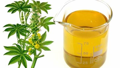 قبل زفافك.. اكتشفي فوائد زيت الخروع للشعر (تفاصيل)