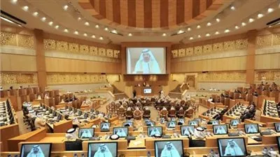 غلق باب الطعون على مرشحي المجلس الاتحادي الإماراتي