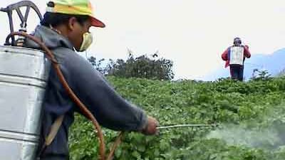 للفلاح المصري.. تعرف على فوائد رش مزرعتك بالهرمونات النباتية