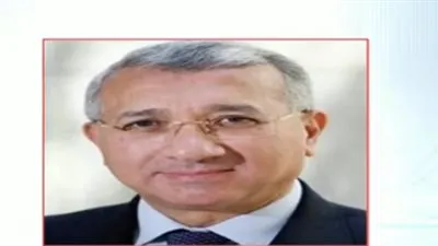 دبلوماسي سابق: التيكاد صوت مسموع.. ومنصة للدول الأفريقية