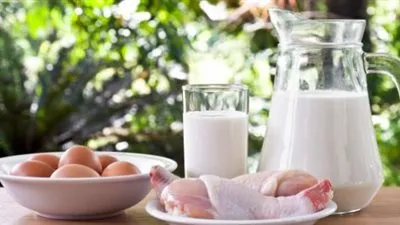 البروتين ومصادره وتكوينه (تعرف عليه)