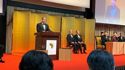 السيسي: المسؤولية الإنسانية تحتم توفير الحد الأدنى من الخدمات الطبية للأفارقة