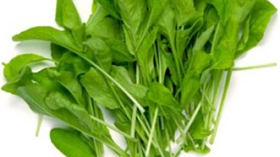 اكتشف أهم فوائد الجرجير المذهلة