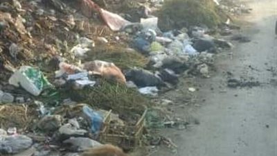 إهمال المسؤلين يهدد بكارثة.. حرق القمامة فوق خط 