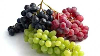 يحسن البصر ويعزز وظائف القلب ويحمي من سلطان القولون.. تعرف على فوائد تناول العنب 