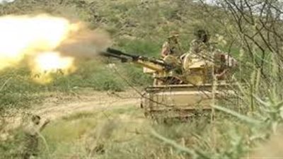 الجيش اليمني يسقط طائرة مسيرة وثية