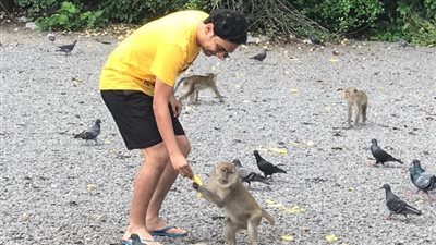 شهر العسل في تايلاند .. عيوب ومميزات بوكيت .. أوعى تغلط غلطتي!