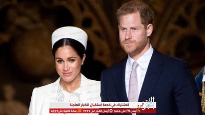 مذيعة تلفزيونية: ميجان ماركل لا تليق بالأسرة الملكية (فيديو)