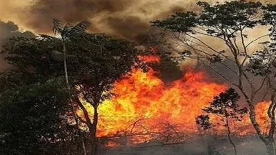 موسم حرائق الصيف القاسي.. أكثر من 100 حريق في الغابات الأسترالية 