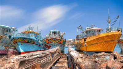 بالأسماء.. تفاصيل الإفراج عن ١٤ مركب في دمياط 