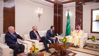 ولي العهد يبحث مع عضوين بالكونجرس العلاقات الثنائية