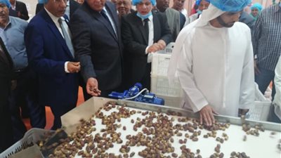 الوادي الجديد اليوم.. افتتاح تطوير مجمع التمور.. والمحافظ يتابع ملف تقنين وضع اليد