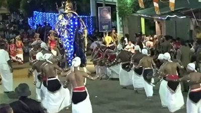 شاهد.. أفيال تدهس الحشود في مهرجان بوذي بسريلانكا وتصيب 17 شخصا