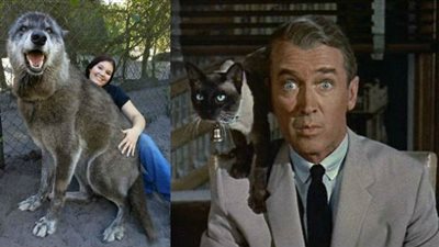 الطالع الفلكي الثّلاثَاء 10/9/2019..فُرصَة وَاعِدَة!