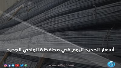 ننشر أسعار الحديد اليوم في الوادي الجديد