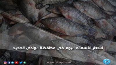  تعرف على أسعار الأسماك والخضروات والفاكهة في الوادي الجديد اليوم الجمعة