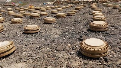 الجيش اليمني يتلف 500 لغم أرضي زرعتها مليشيا الحوثي شرق حرض