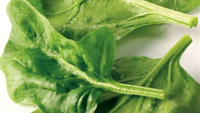  تعرف على فوائد السبانخ لمرضى السكر