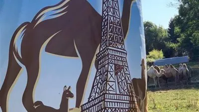 اختتام مهرجان أوروبا الدولي الأول للإبل في فرنسا