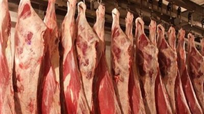 ضبط 30 طن لحوم ودواجن وأسماك 