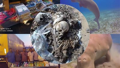 البحر الأحمر اليوم.. ظهور عروس البحر يجذب السياح.. وكشف غموض العثور على عظام بشرية.. وضبط مستحضرات تجميل مهربه 