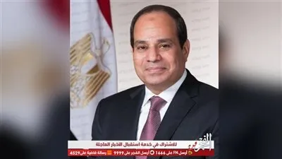 فنانو مصر لـ السيسي: 