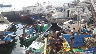 شيخ الصيادين بالسويس: سروح ٧٨ مركب جر و٣٢٠ فلوكة لبدء موسم الصيد