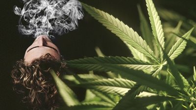 التلاته بيعملوا دماغ ومفيش فرق بينهم! الحشيش هو الماريجوانا هو البانجو.. معلومة صادمة أول مره تعرفها