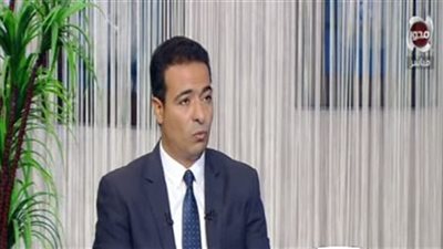 أستاذ بجامعة القاهرة يكشف تفاصيل مشروع 