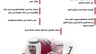 خليجيون يفضحون دور قطر في استهداف مصر