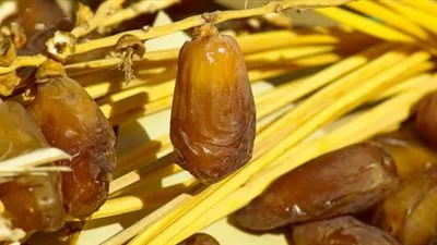 فوائد صادمة لـ