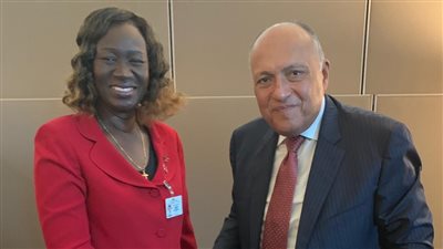 شكري: مصر تحرص على استقرار دولة جنوب السودان الشقيقة