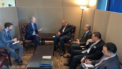 شكري يبحث مُستجدات الوضع في سوريا مع المبعوث الأممي  