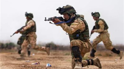 مقتل 8 عناصر من تنظيم 