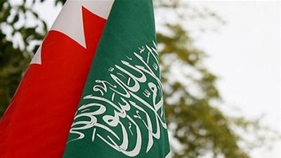 السعودية والبحرين تعلنان تأييدهما لمصر في مواجهة الإرهاب (فيديو)
