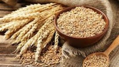 السعودية تشترى 1.002 مليون طن من علف الشعير 