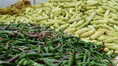 أسعار الفاكهة والخضروات اليوم الثلاثاء 1-10-2019 بالبحر الأحمر 