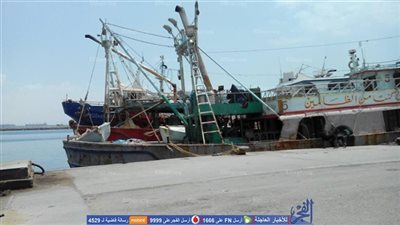 تفاصيل حالة الطقس في محافظة السويس.. هل سيؤثر على عائمات الصيد؟ شيخ الصيادين يجيب