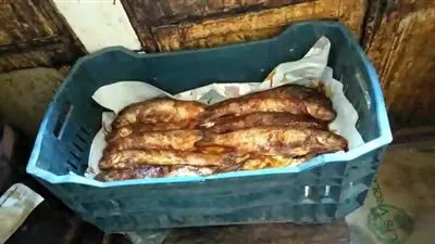 حملة تموينية تستهدف محال بيع الأسماك في الإسكندرية