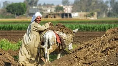 بشرى سارة للفلاحين بشأن غرامات التأخير 