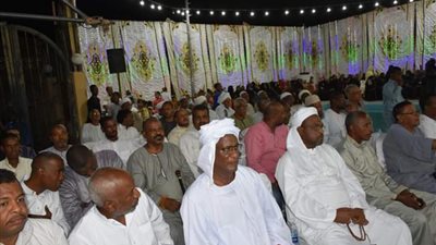 نائب محافظ أسوان يشهد فاعليات ذكرى نصر أكتوبر المجيدة 