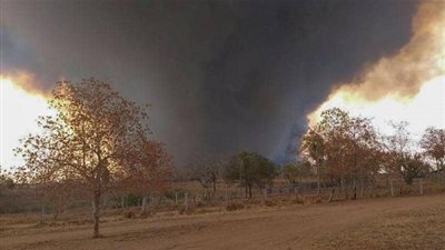 سلطات بوليفيا: الأمطار تنقذ الغابات في البلاد من الحرائق