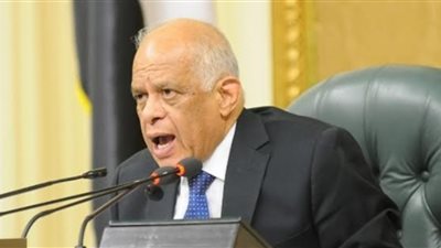 رئيس البرلمان: لا يوجد معتقل واحد في السجون المصرية